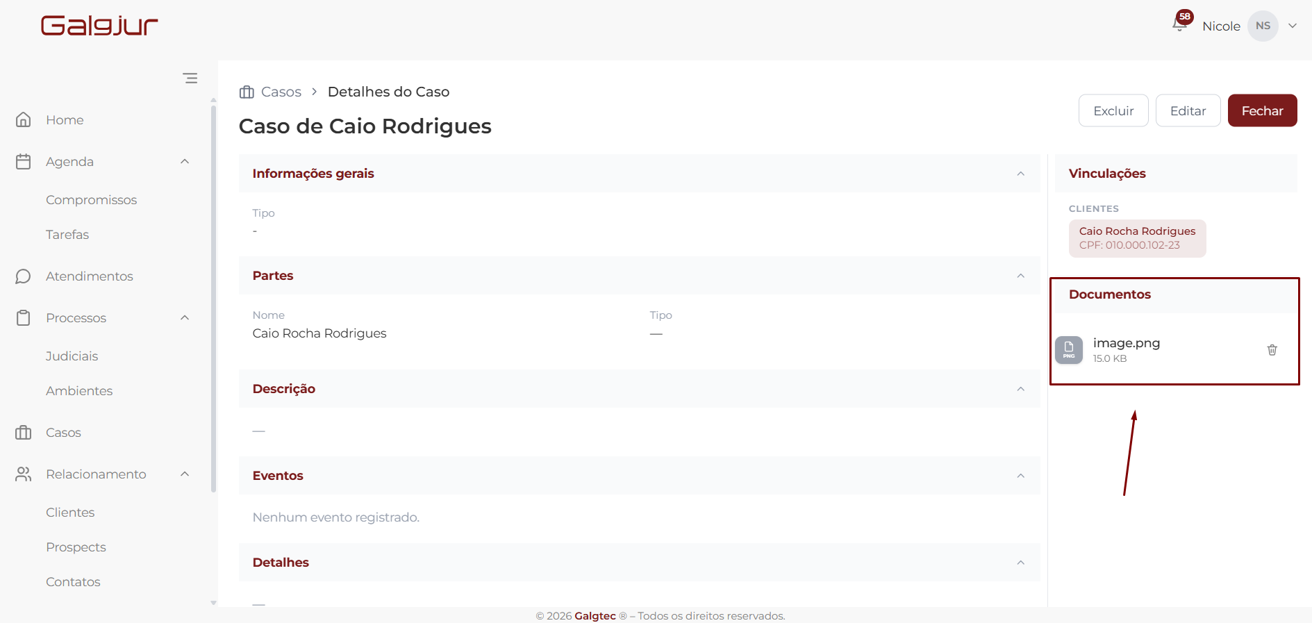 Tela de Detalhes do Caso com o painel lateral direito Documentos destacado, mostrando os arquivos anexados com seus tamanhos e ícones de download